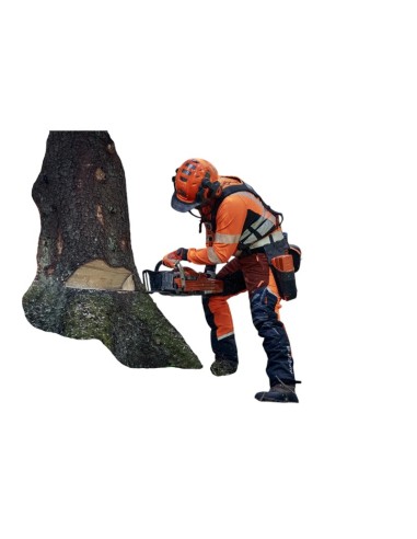 Pantalone Antitaglio  HusqvarnaTechnical Extreme