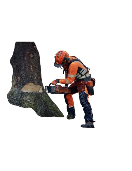 Pantalone Antitaglio  HusqvarnaTechnical Extreme