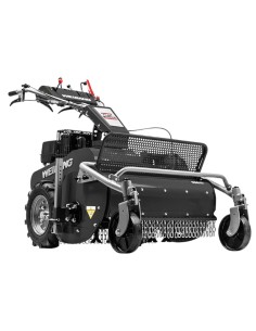 Triciasarmenti Weibang professionale WBGT6813