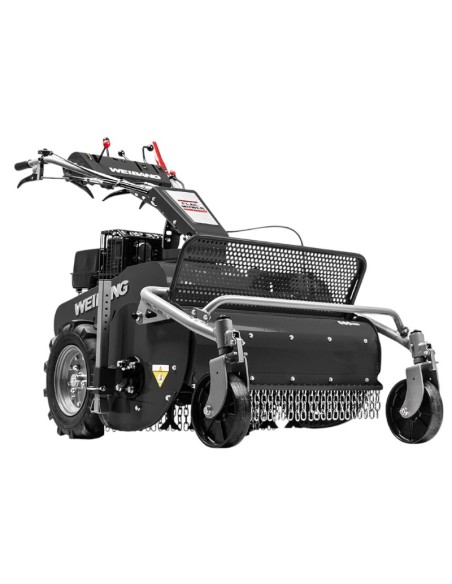 Triciasarmenti Weibang professionale WBGT6813