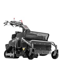 Triciasarmenti Weibang professionale WBGT6813TE