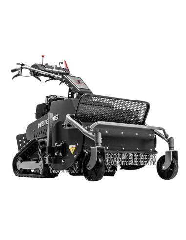 Triciasarmenti Weibang professionale WBGT6813TE