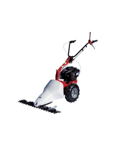 Falciatrice Motore Briggs Serie S450