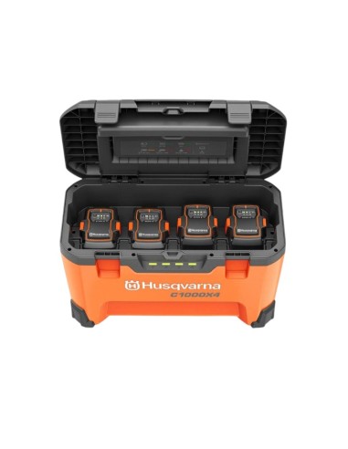 Caricabatterie Multiplo 40-C1000X4  Offerta...